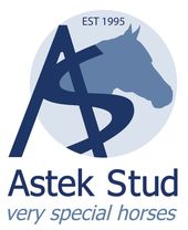 ASTEK STUD VERY SPECIAL HORSES